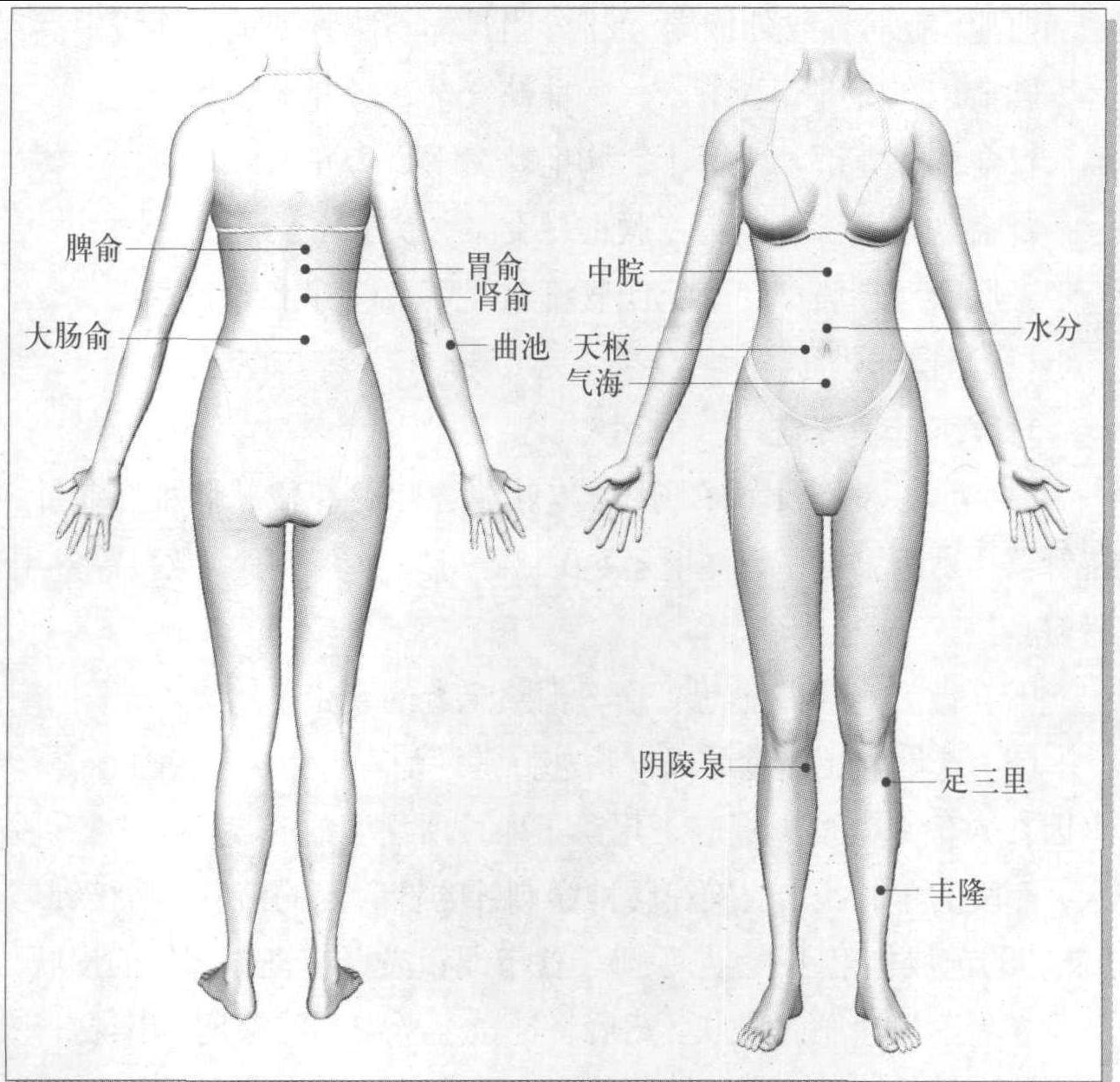 第七節(jié) 其他針灸減肥法操作